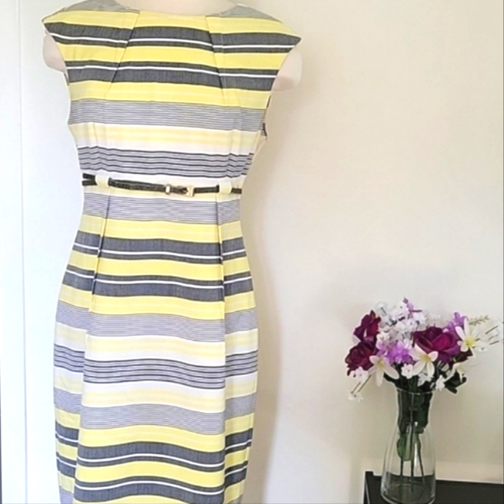 Calvin Klein Belted Striped Women's Sheath Dress
